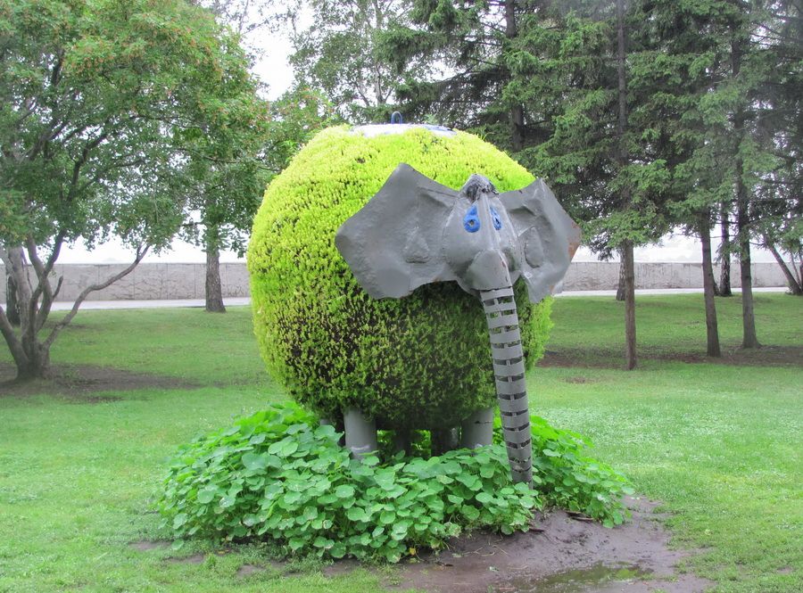 Зеленая слоновая