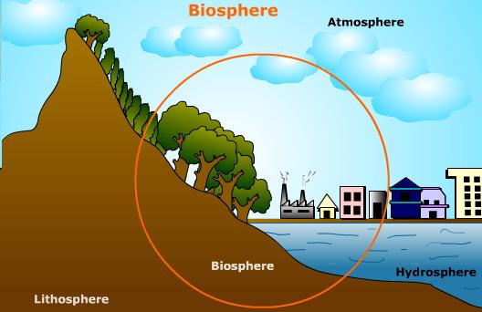 biosphere-illustration.jpeg