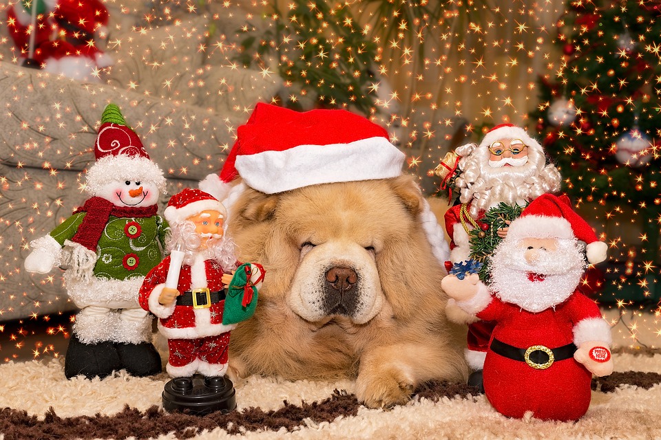 christmas-3037119_960_720.jpg