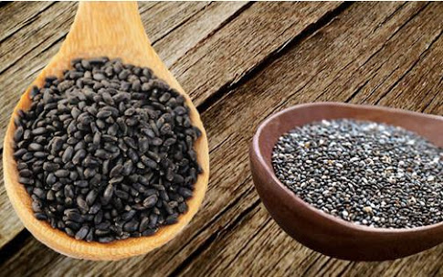 13 GREAT BENEFITS OF BASIL SEEDS Steemit