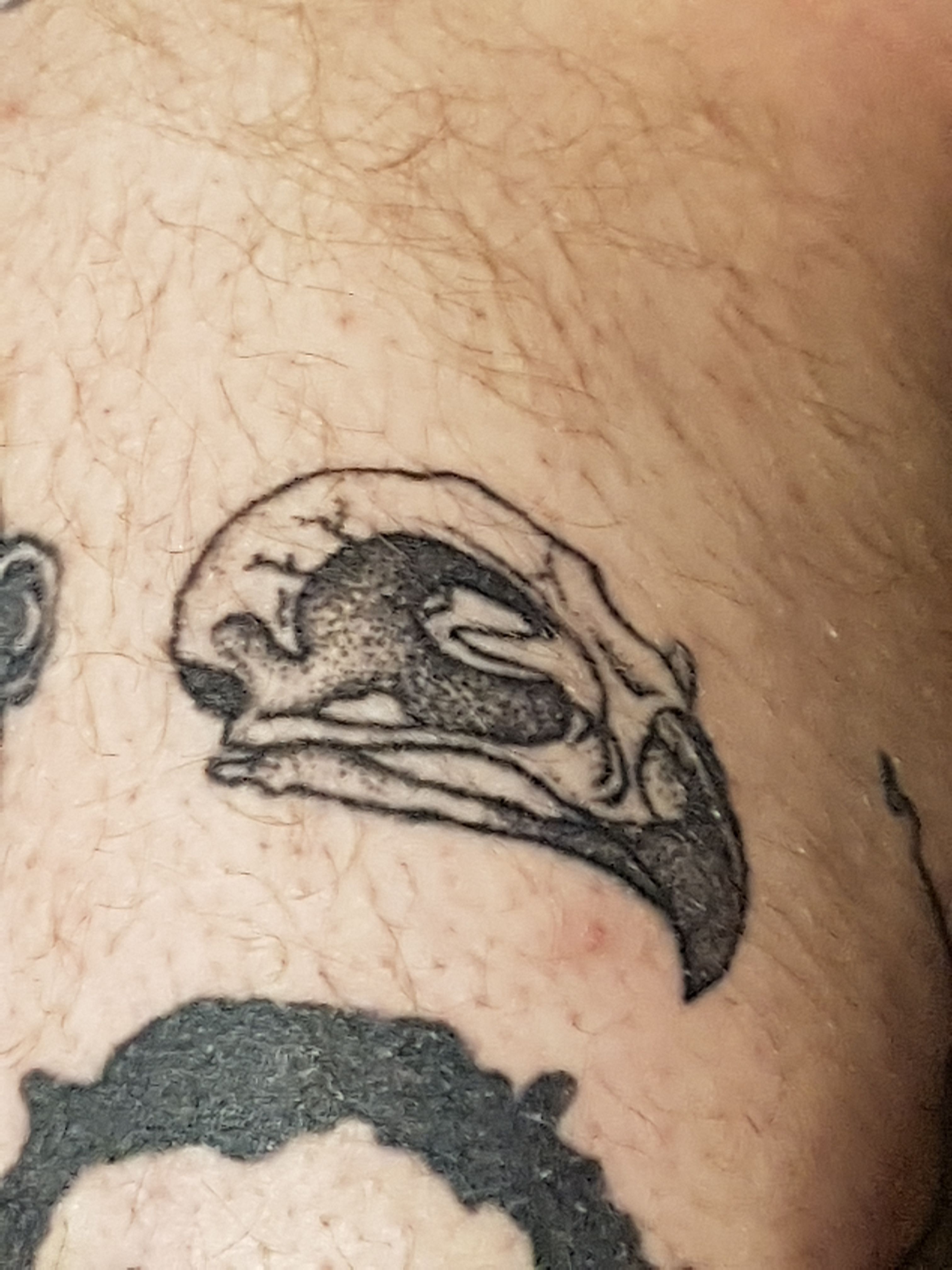 Brennan Walker Bird Skull Mushrooms Tattoo by Brennan Walker TattooNOW