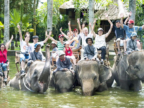 Elephant4634.jpg