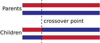 OnePointCrossover.svg.jpg