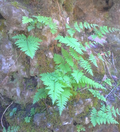 20150412_150221.jpg