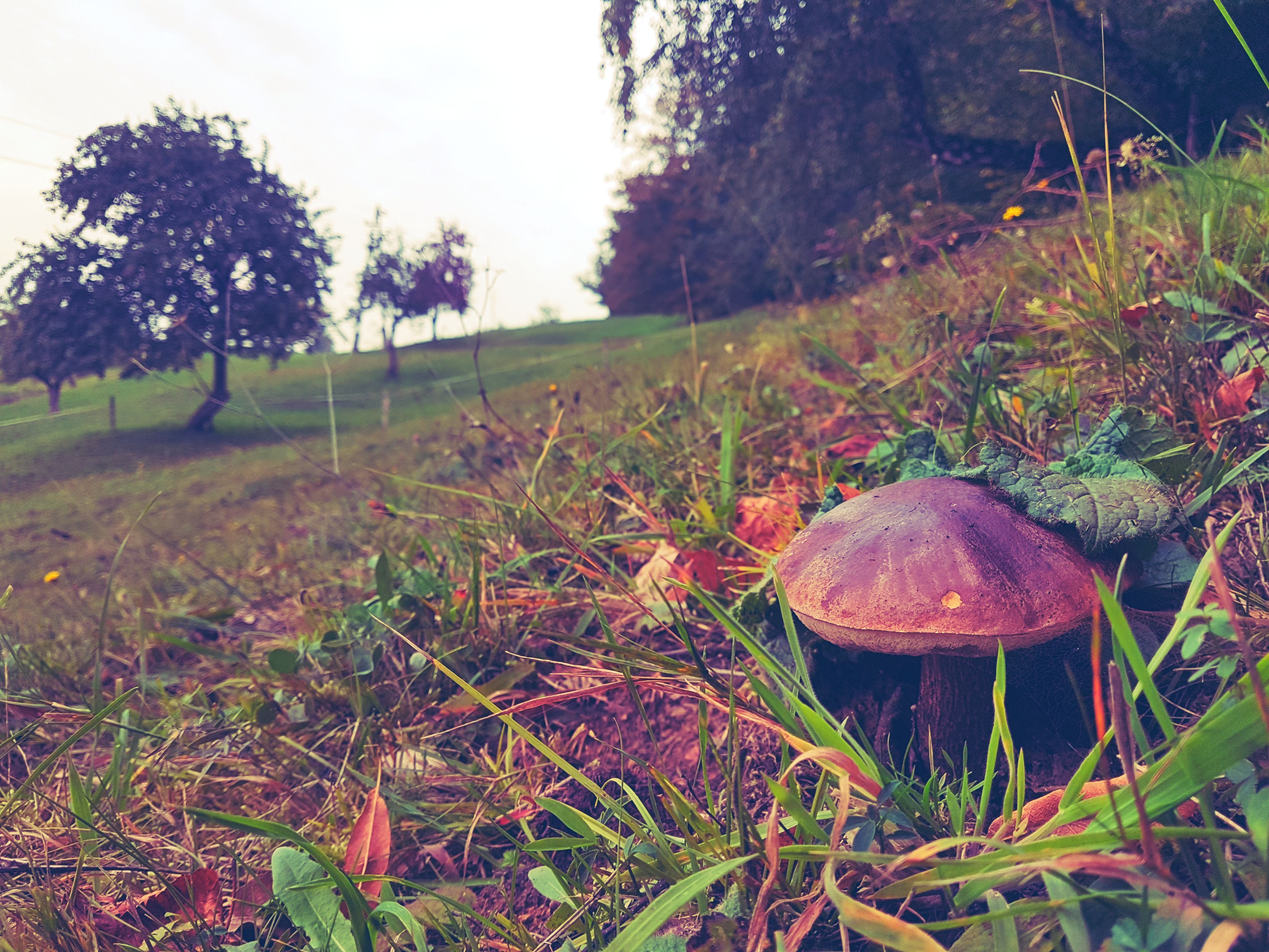 20170924_180958.jpg