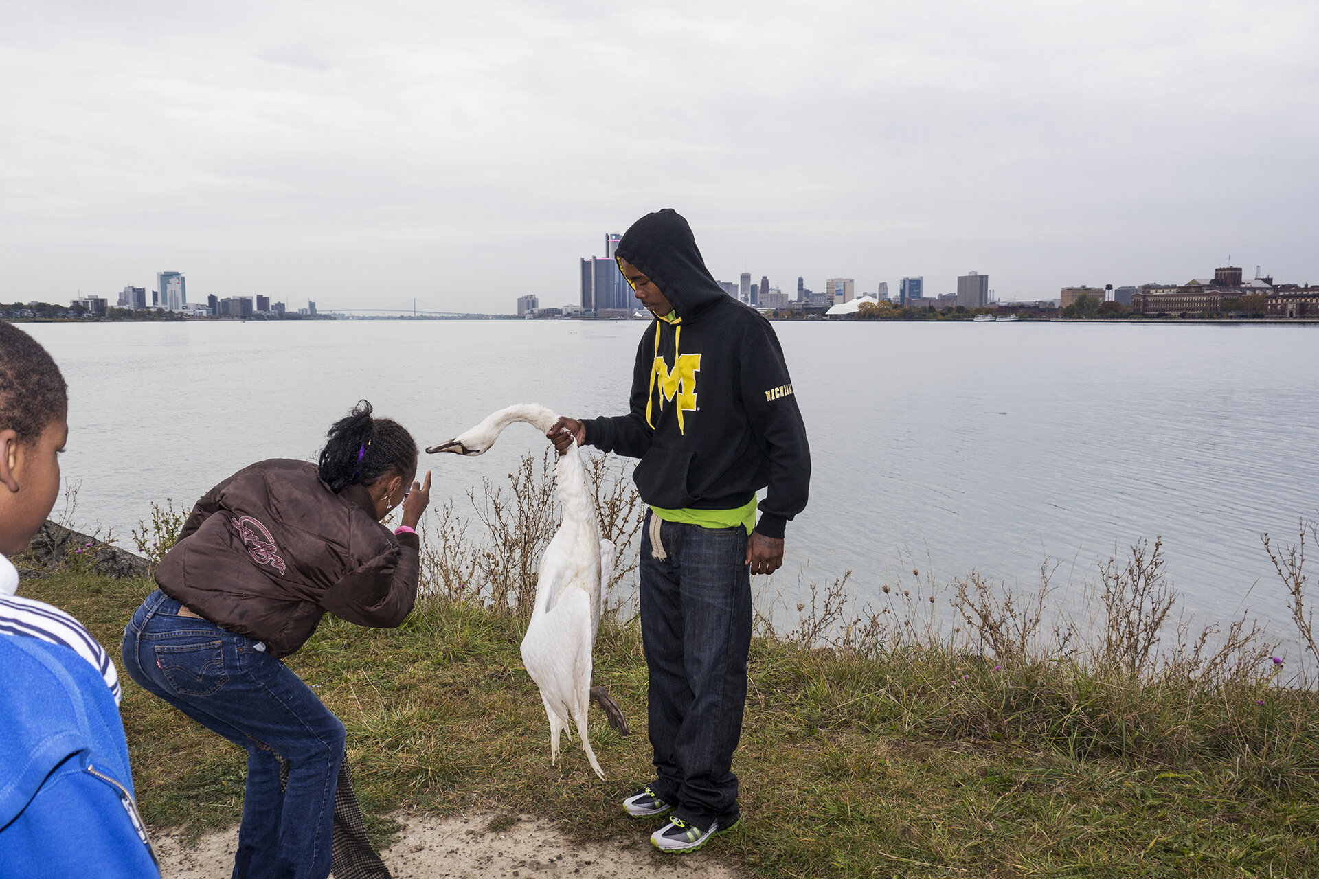 ant_with_dead_swan_detroit_2015_iain_maitland.jpg