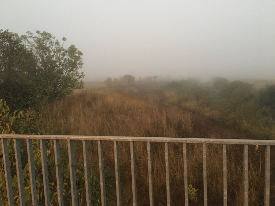 NatureShot.png
