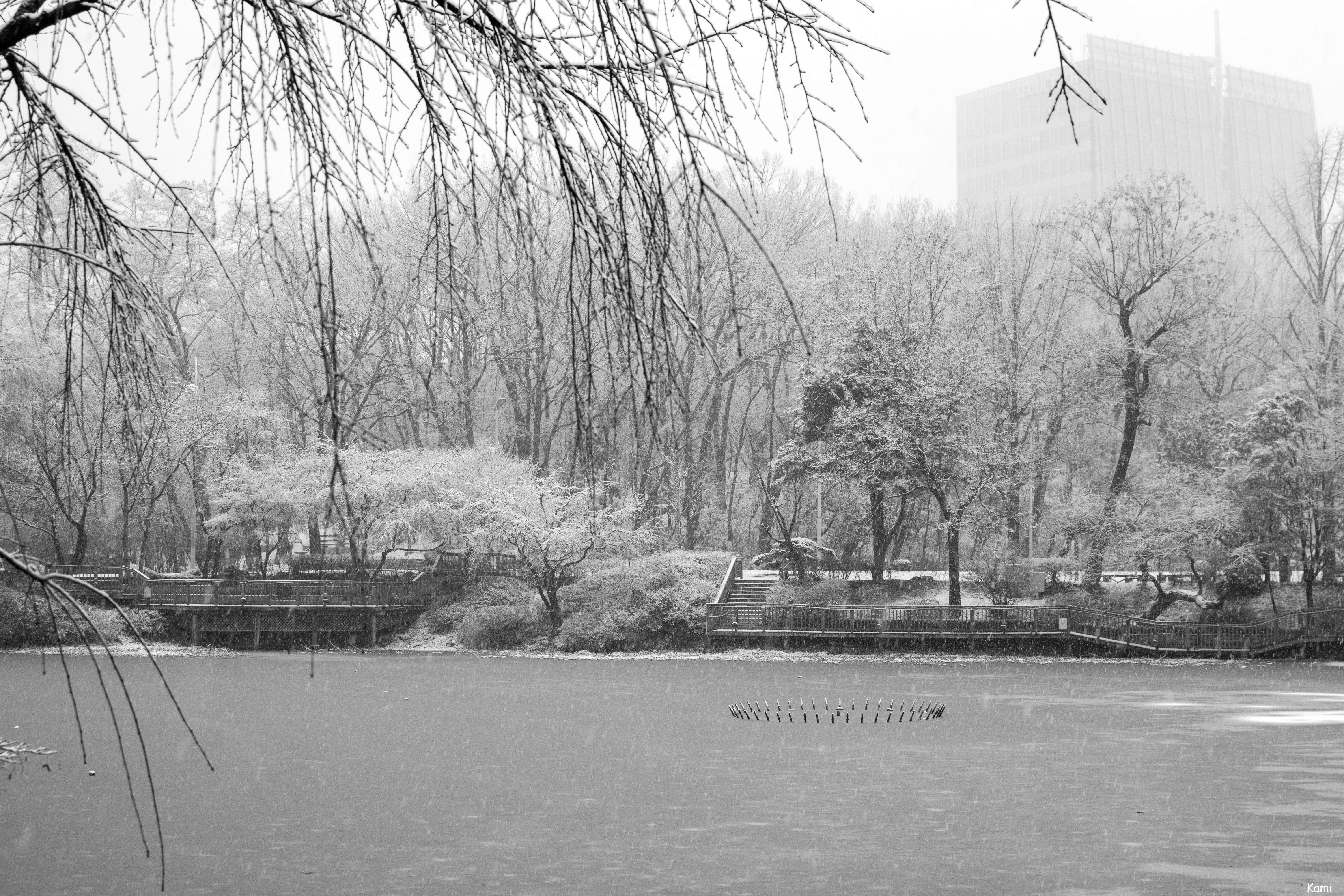 _DSC3007.jpg