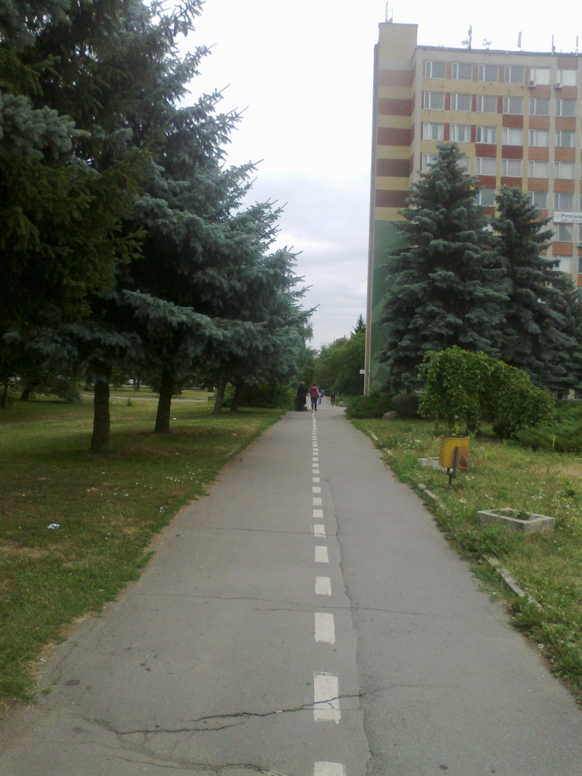 08072017917.jpg