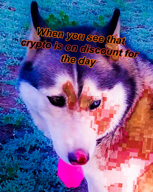 Discount Crypto Rex.jpg