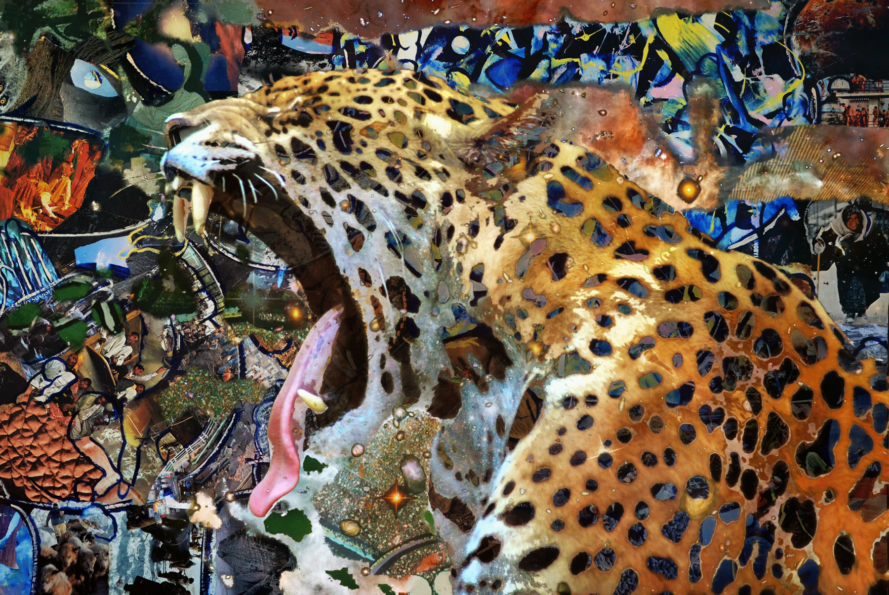 Leopard-Yawn.gif