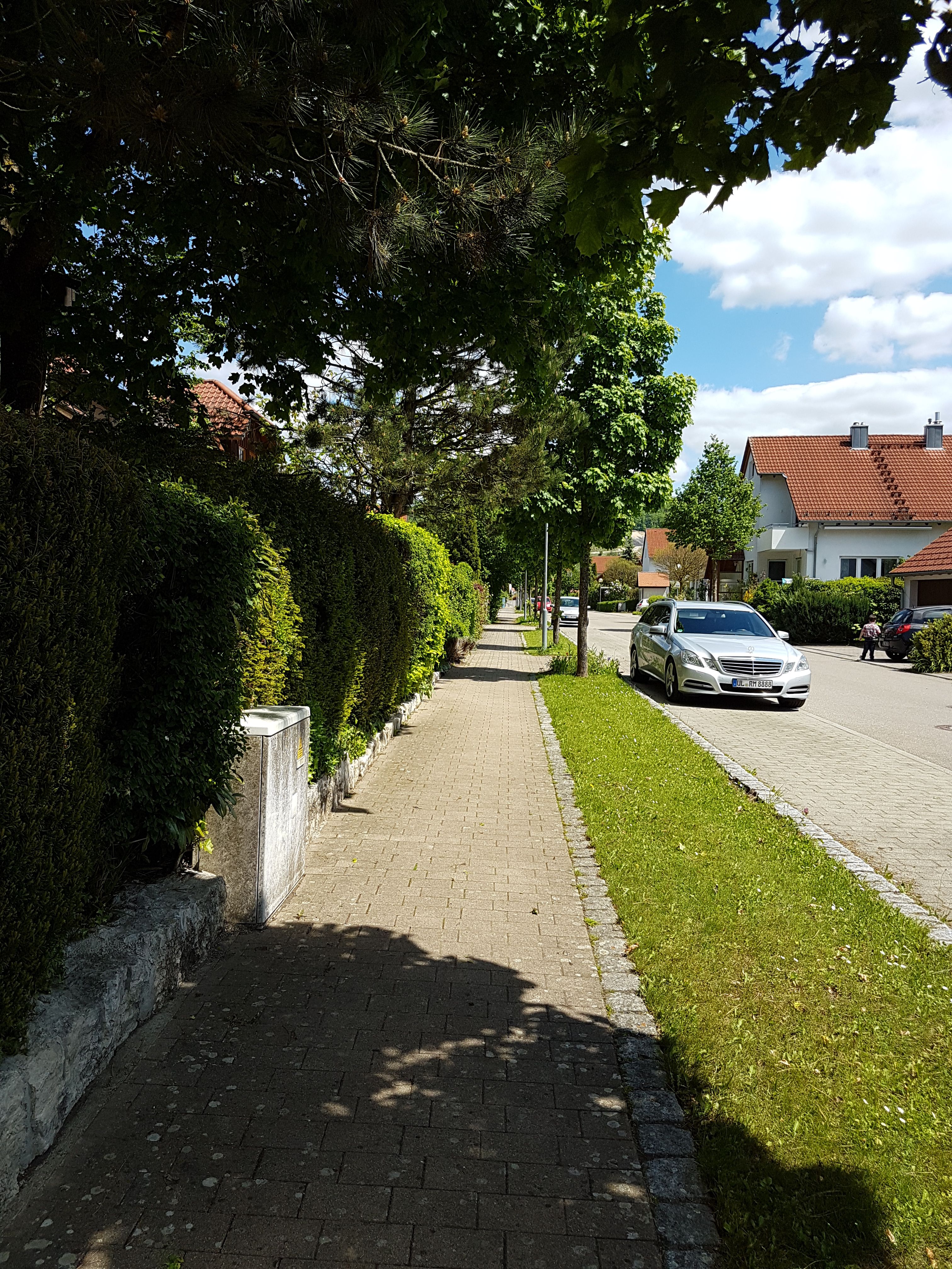 20170521_141145.jpg
