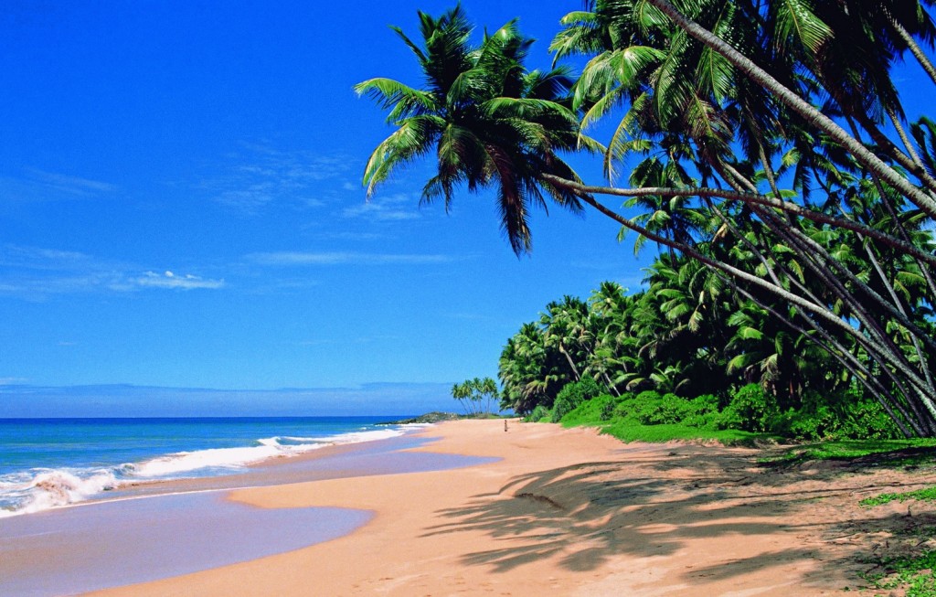 Most-beautiful-beaches-of-India-Goa-1024x653.jpg