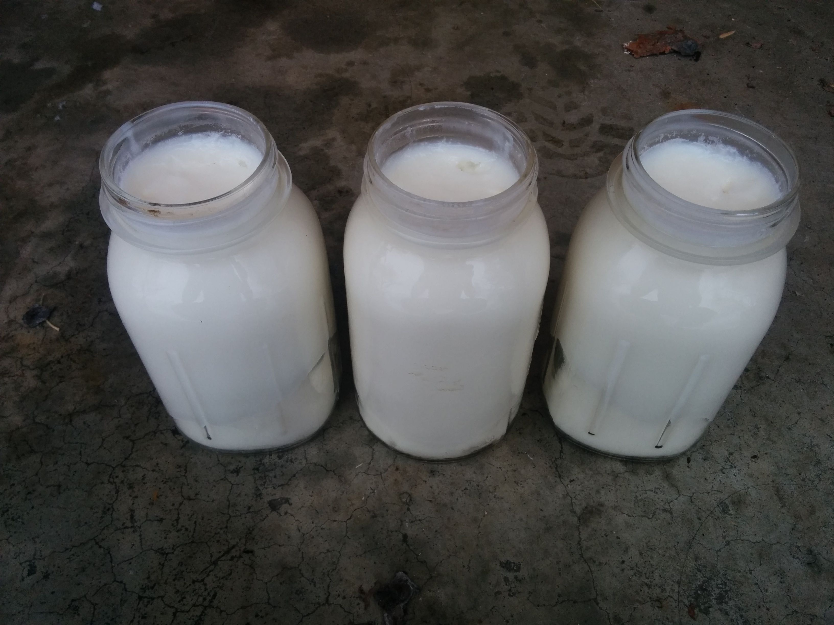 Rendering Tallow from Sheep Fat for Sustainable Cooking Fat, Candles, Soap  Leather Conditioning and More! — Steemit