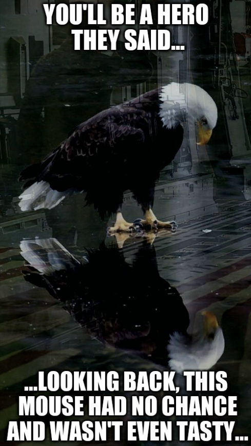 eagle.png