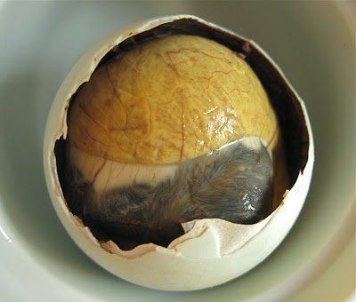 Balut.JPG