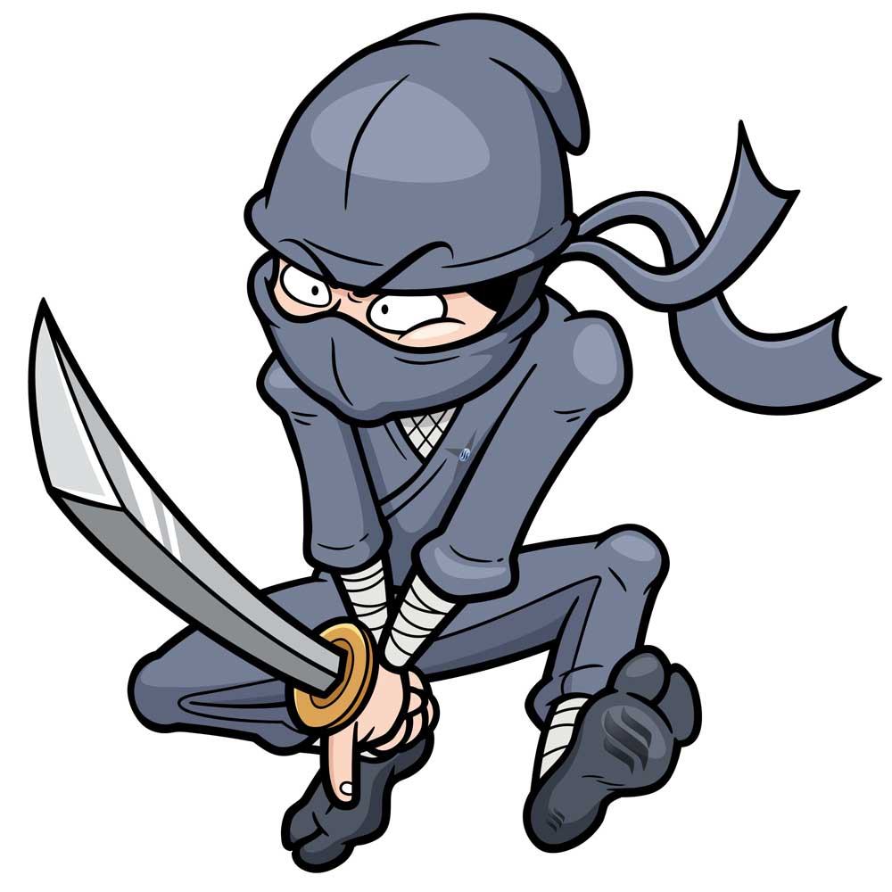 he sneaky ninja