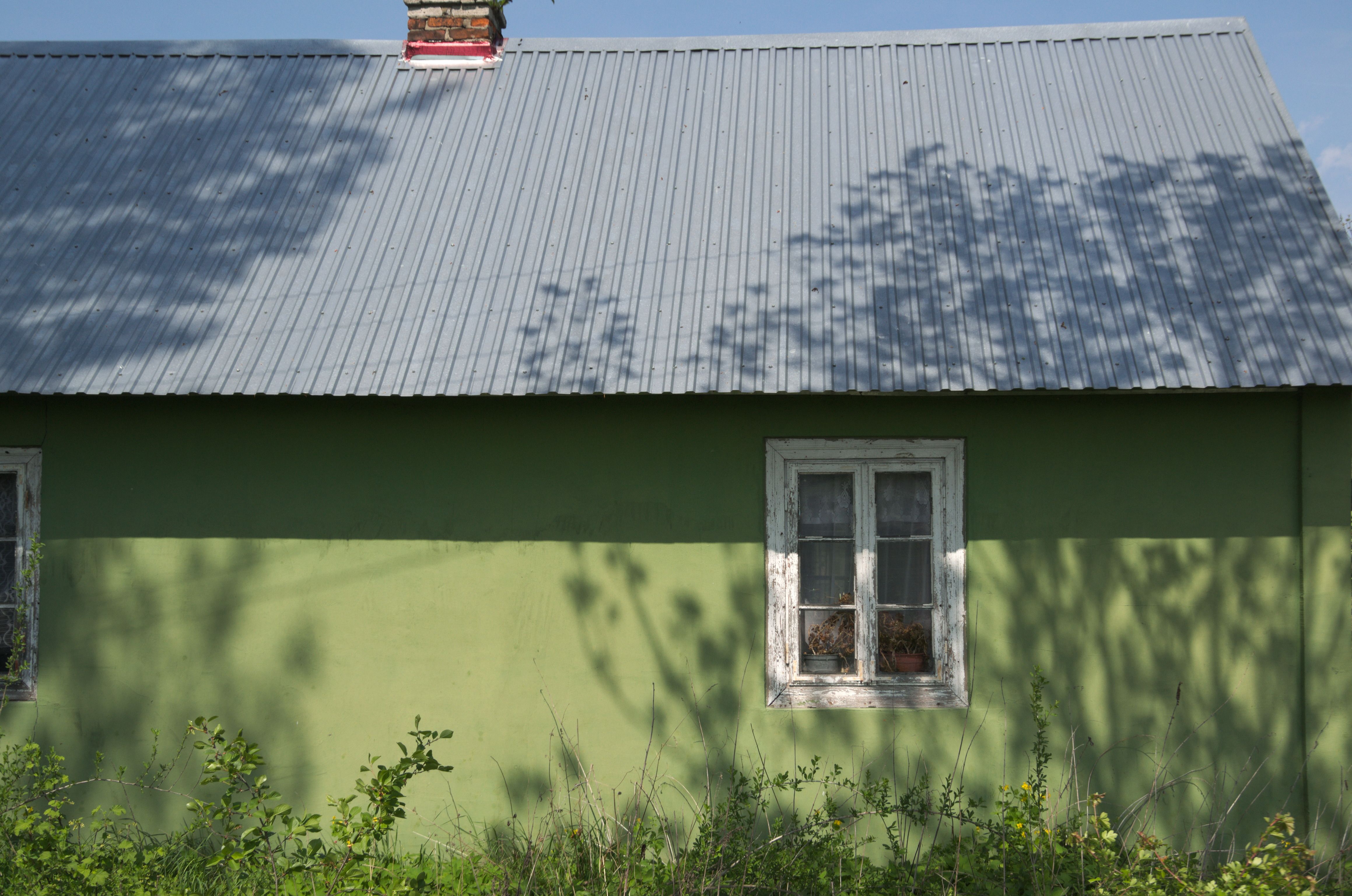 DSC_0274.jpg
