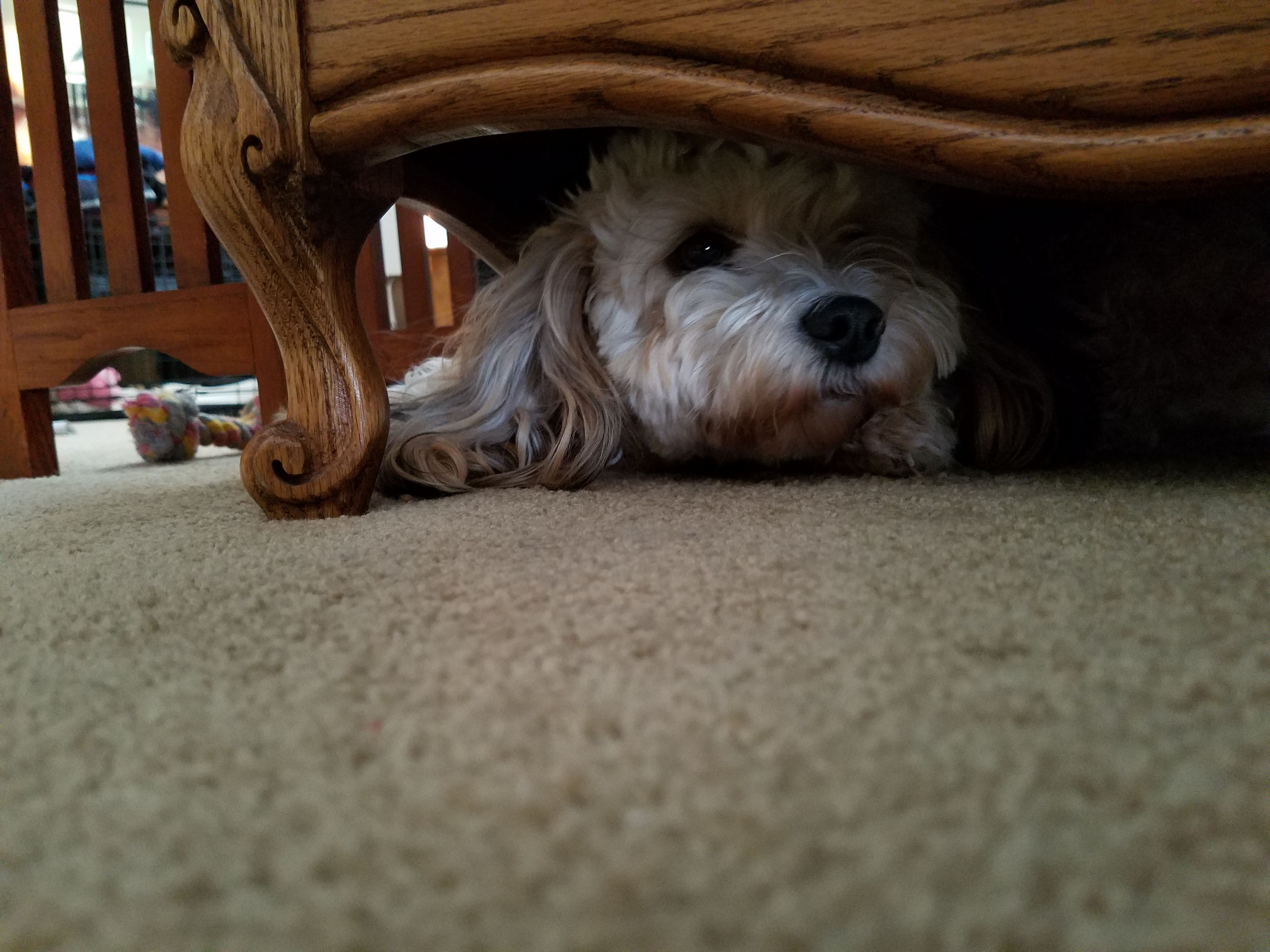 20180316_145152.jpg