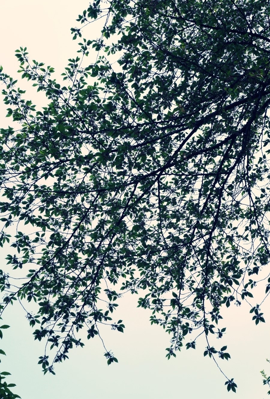 다운로드 (12).jpg