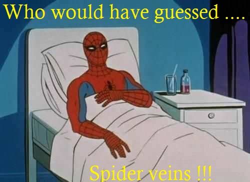 spidermanmemeentry.jpg