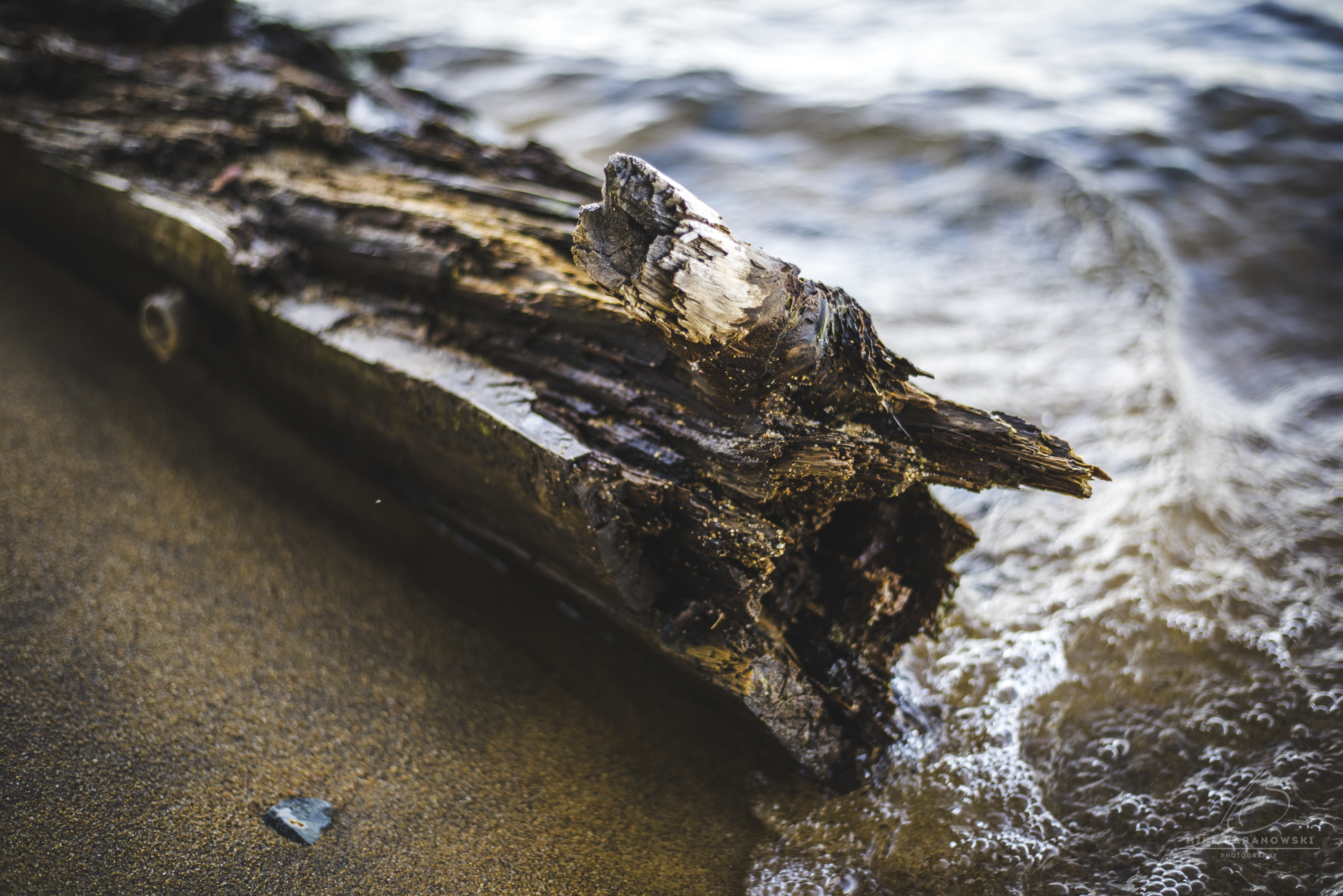 Tahoe Driftwood.JPG