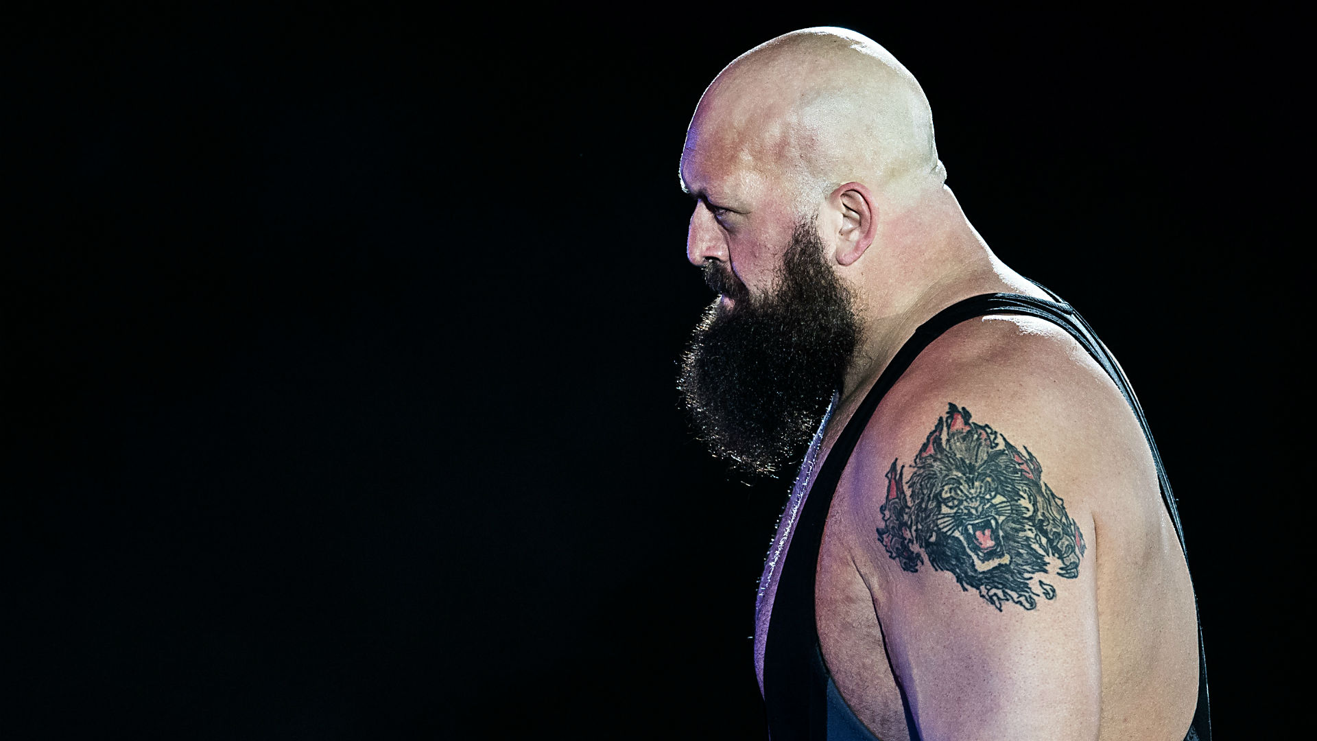 big show (3).jpg