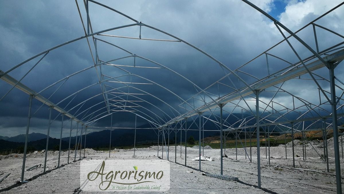 agrorismo-sustainable-living-hydroponics-panama-vulcan.jpg