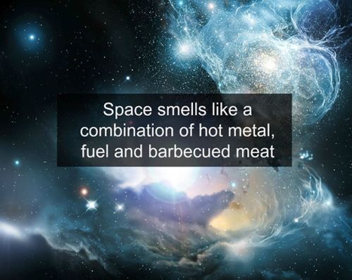 science-facts-9.jpg