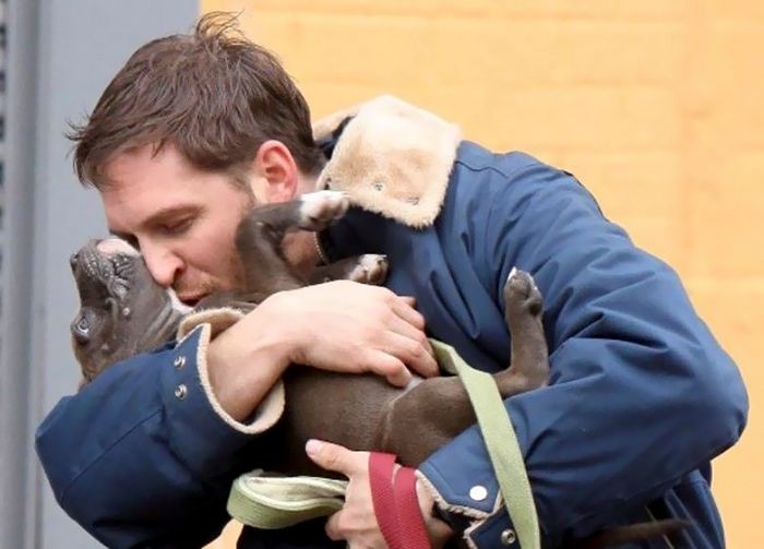 love-for-dogs-tom-hardy-6-59bf6f169de32__700.jpg