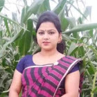 dayapari