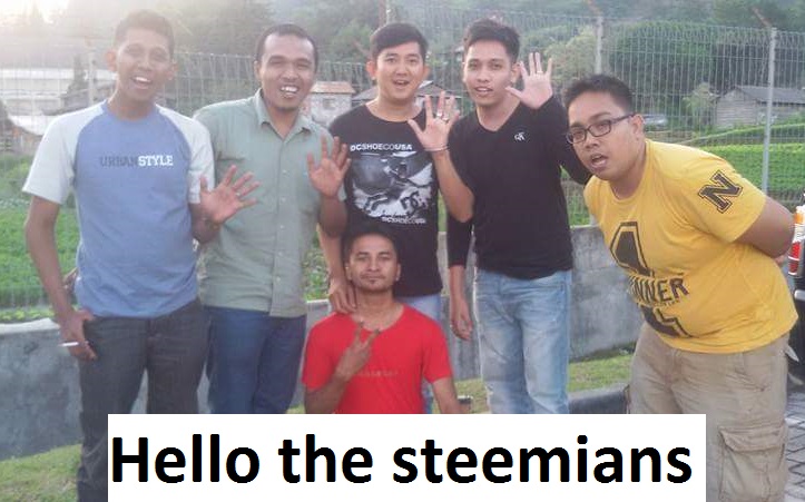 Hllo The Steemians.jpg