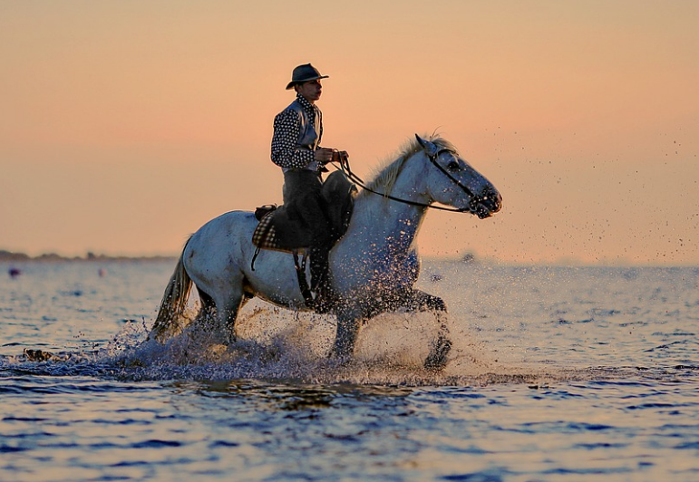 Horse Running in Water with Man on HourseBack.png