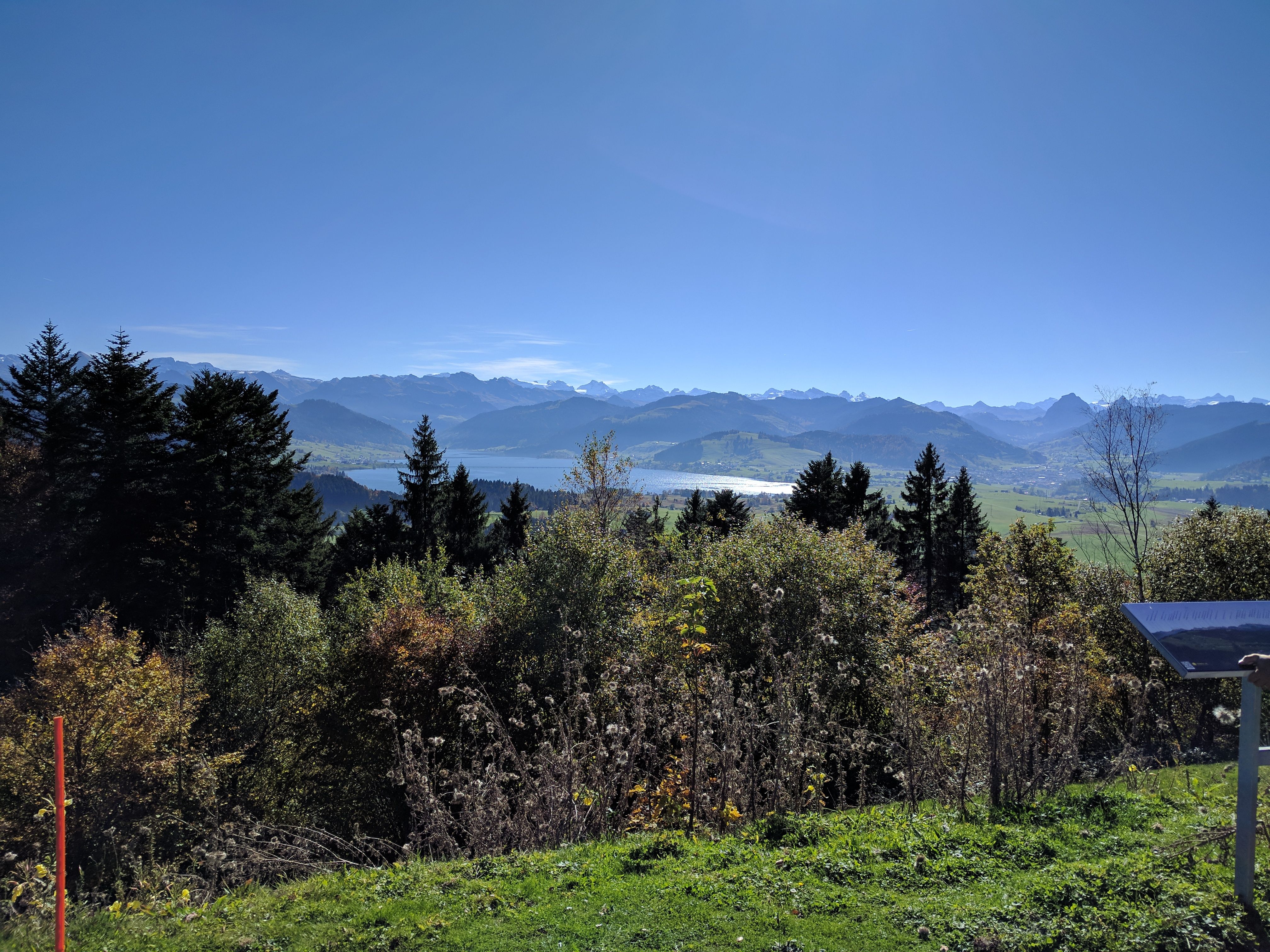 IMG_20171014_134006.jpg