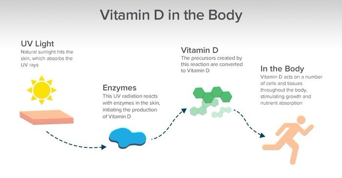 vitamin-d-in-the-body-infographic-v2-700xh_edited_edited.jpg