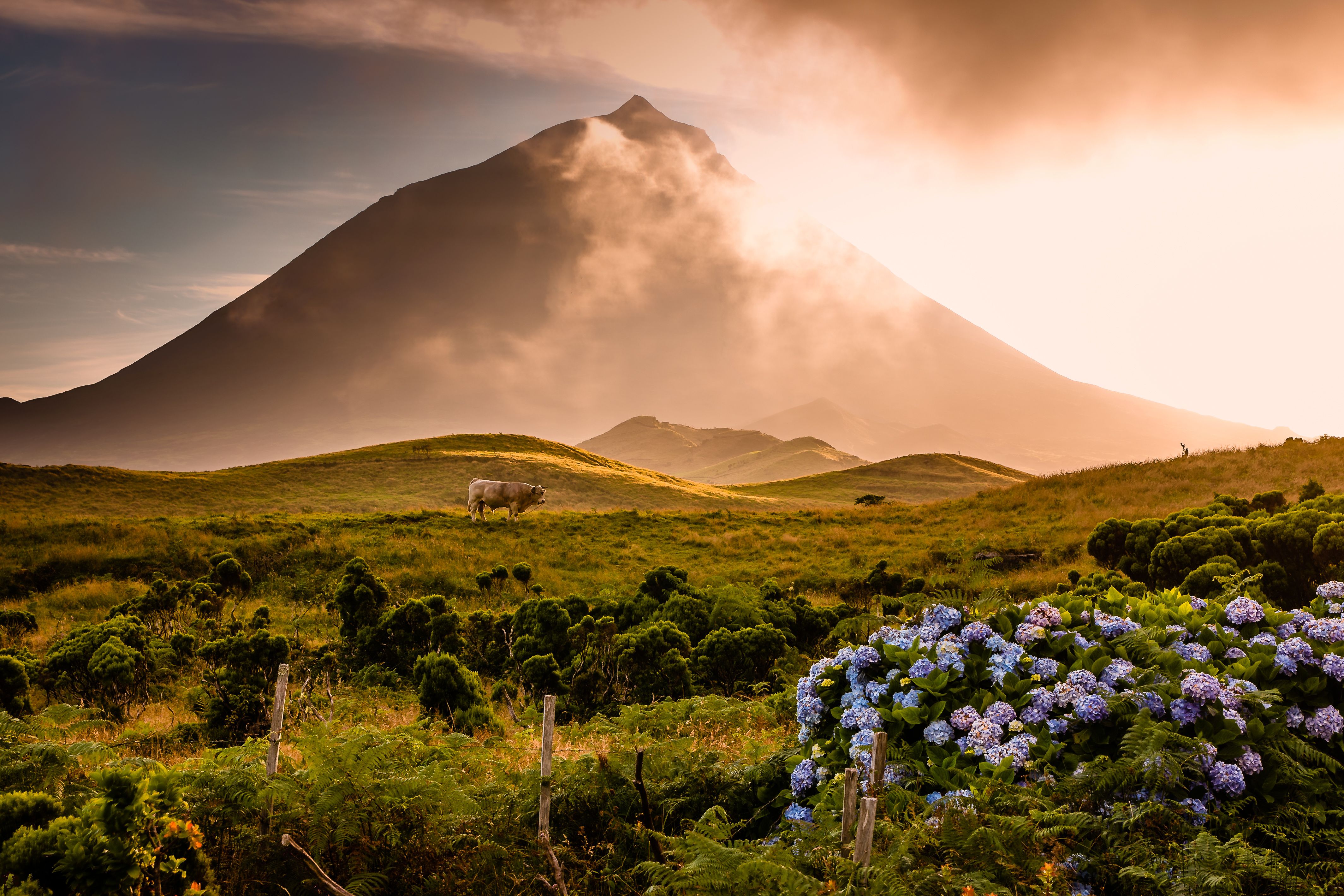 azores.jpg