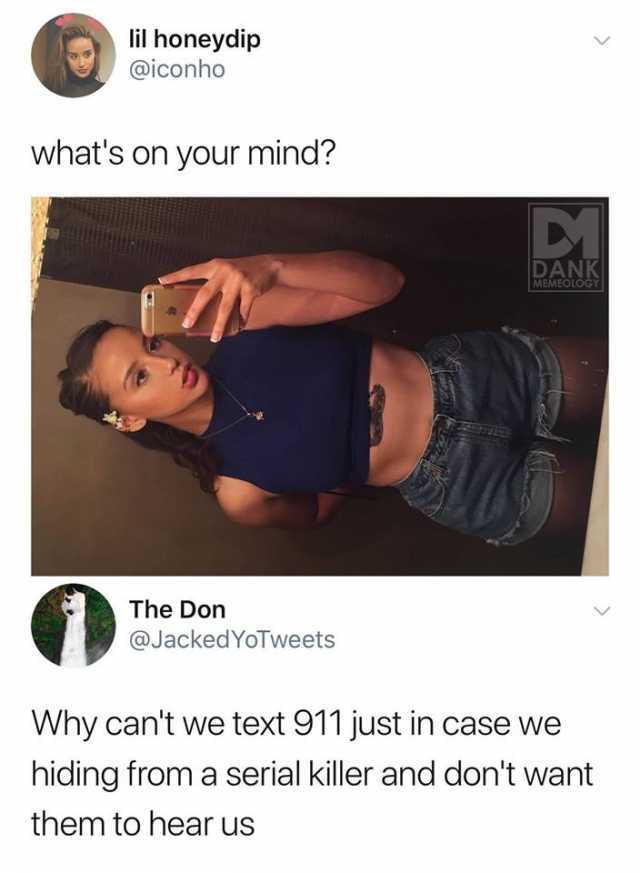 lil-honeydip-aticonho-whats-on-your-mind-dank-memeology-the-don-atjackedyotweets-why-cant-we-text-911-just-in-case-we-hiding-from-a-serial-killer-and-dont-want-them-to-hear-us-H63fh.jpg