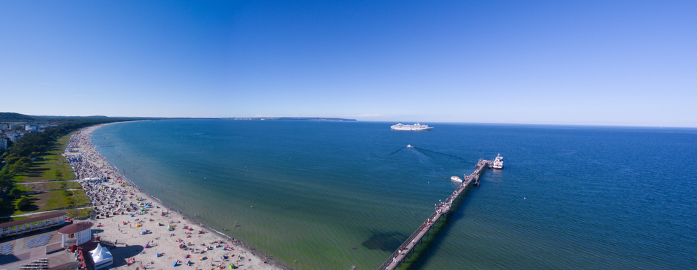 binz2.jpg