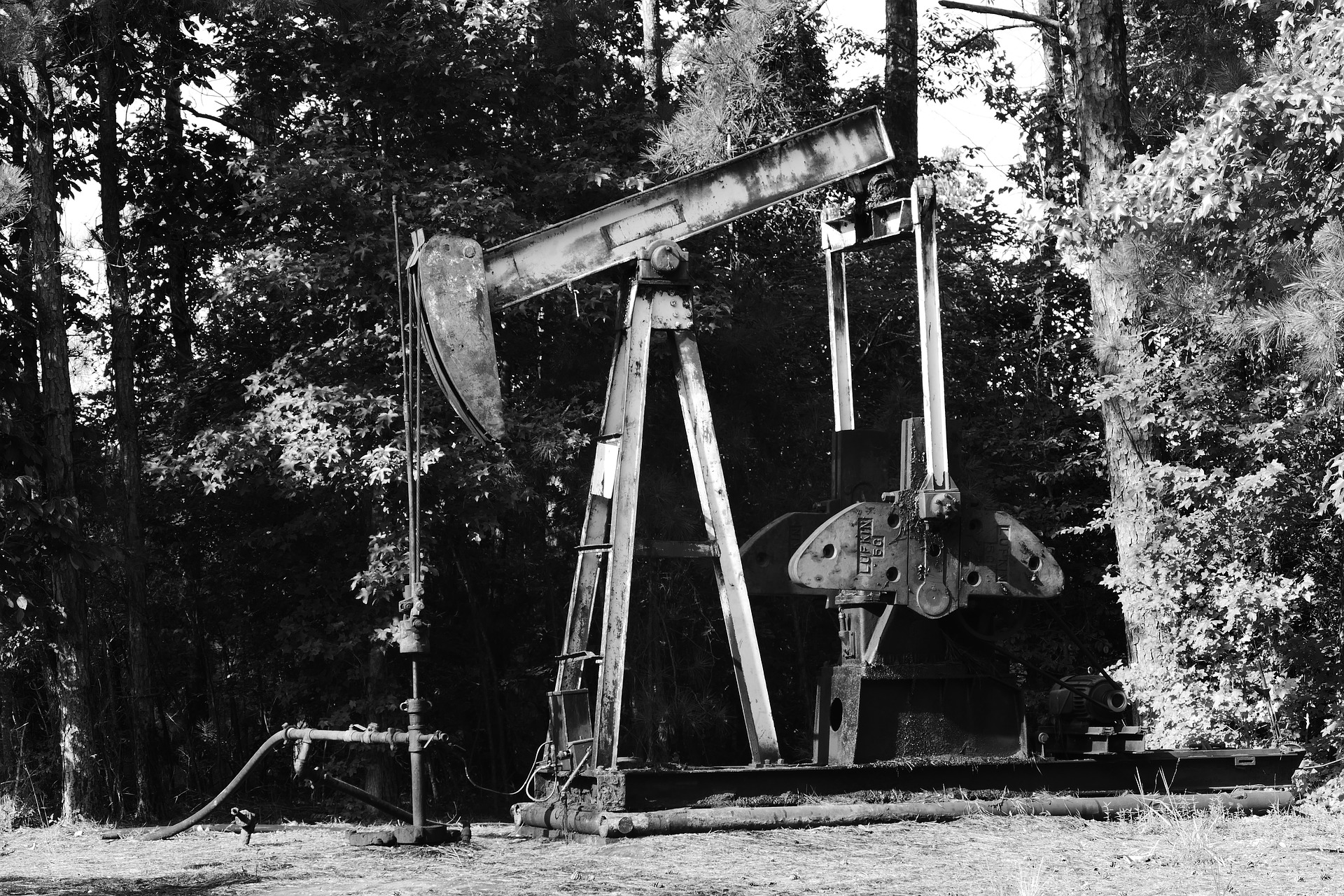 oil-2499156_1920.jpg