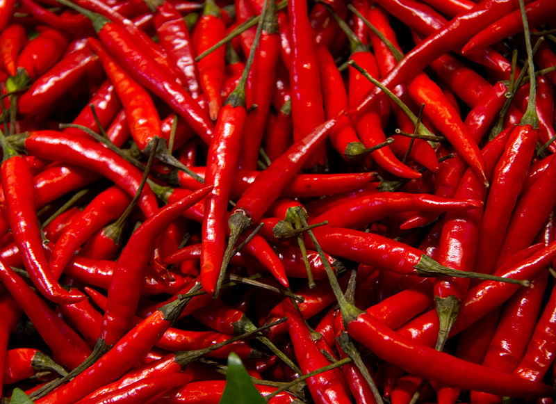 Red-Chillies.jpg