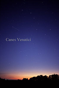 200px-CanesVenaticiCC.jpg