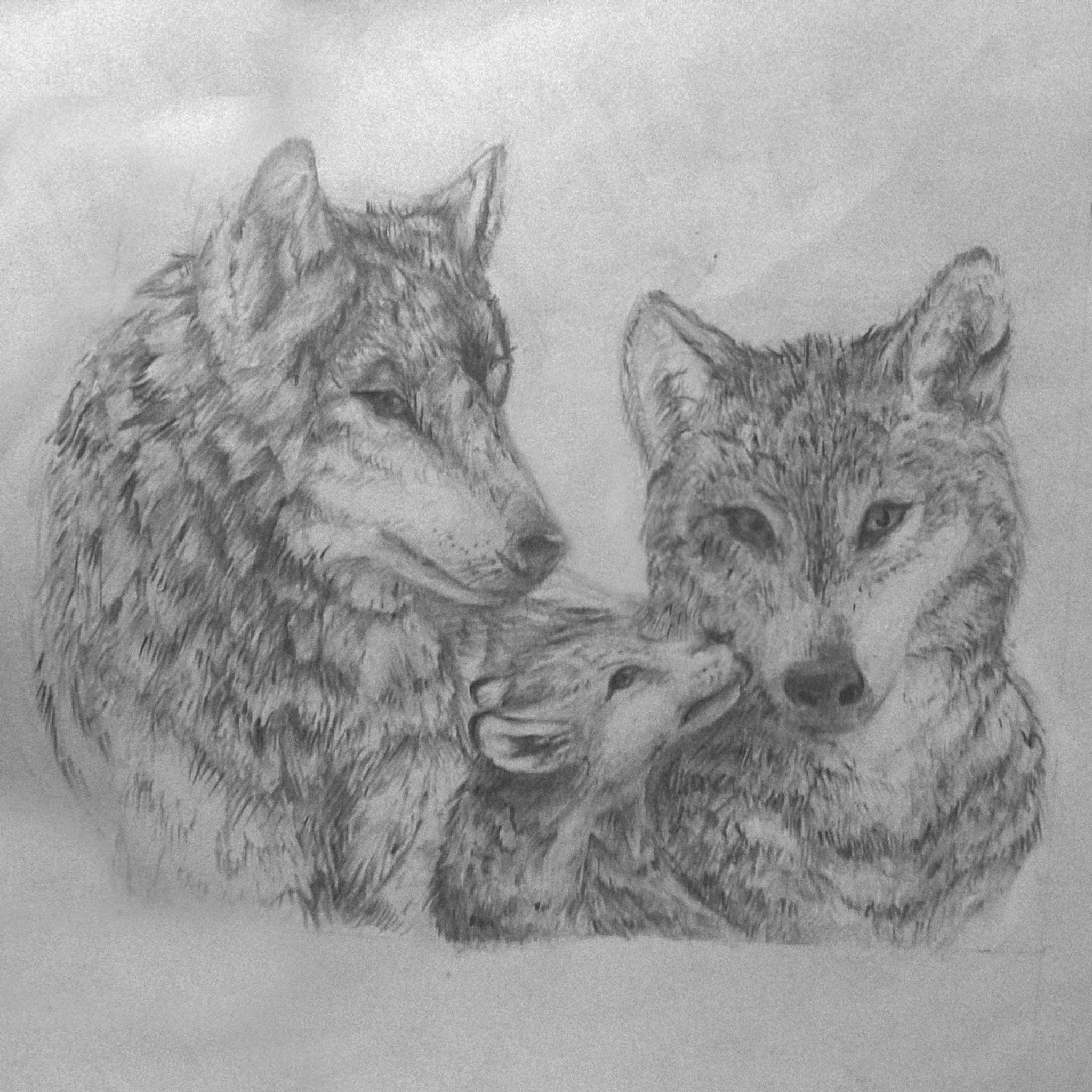 Familia de lobos, ilustración comisionada. — Steemit