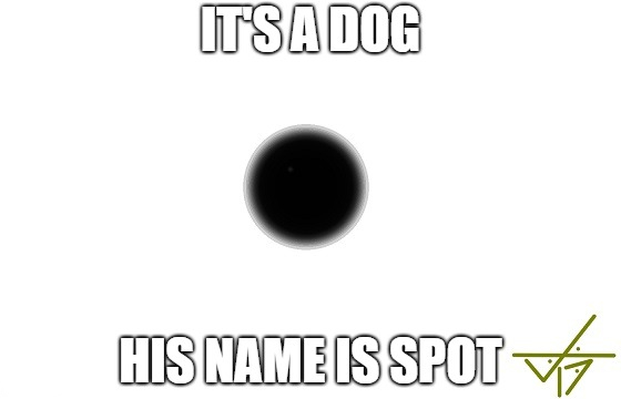 His name is spot.jpg