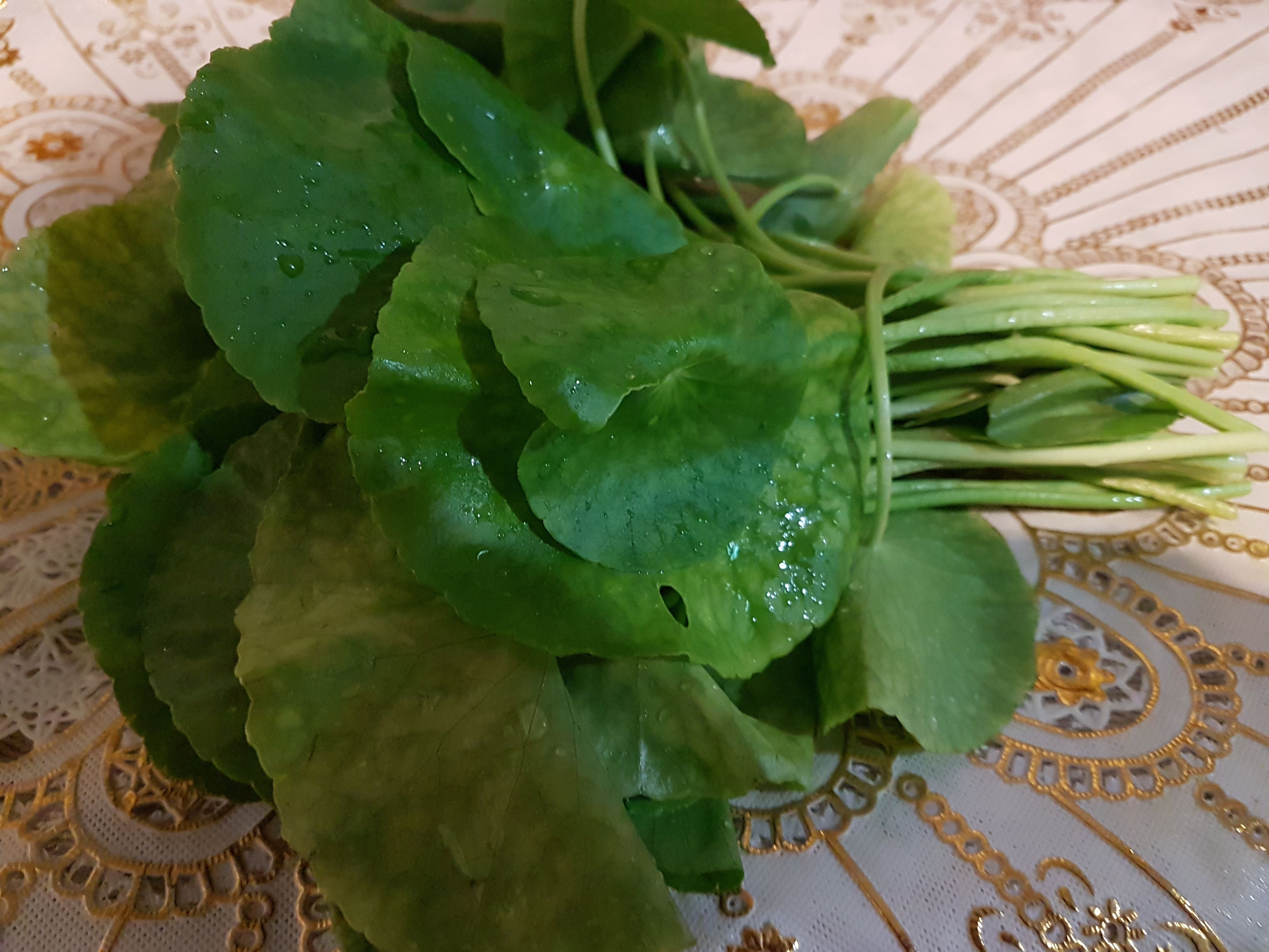20171128_112352.jpg