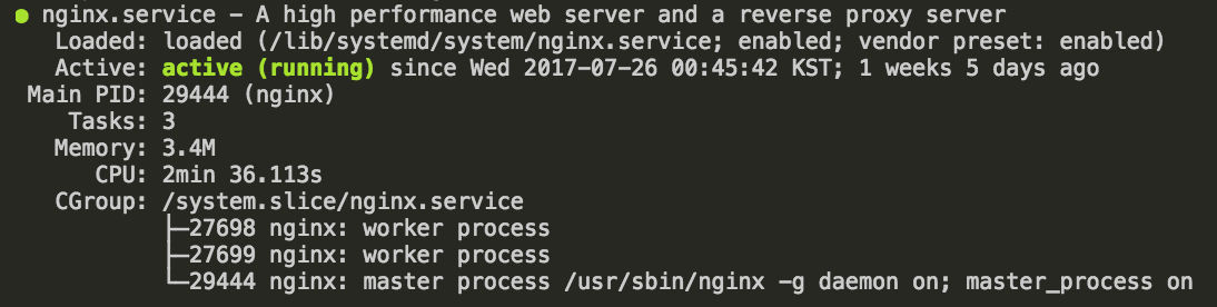 nginx 설치 후 상태 확인