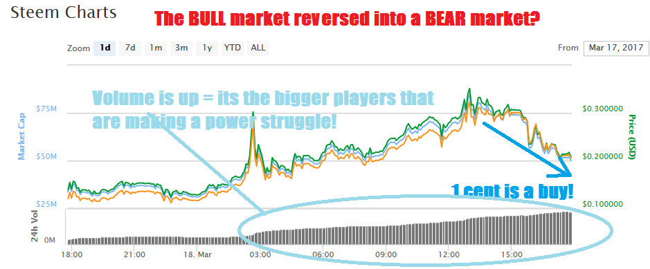 market bull or bear.png