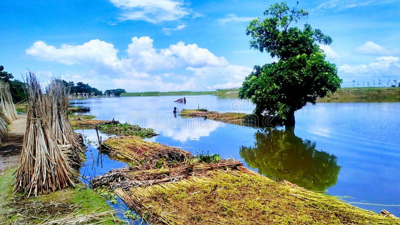 natural-beauty-bangladesh-naturally-beautiful-country-blue-sky-white-clouds-looks-awesome-fiber-kept-water-100461301.jpg