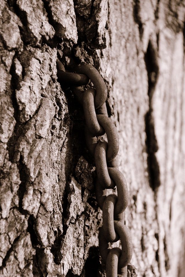 chains.jpg