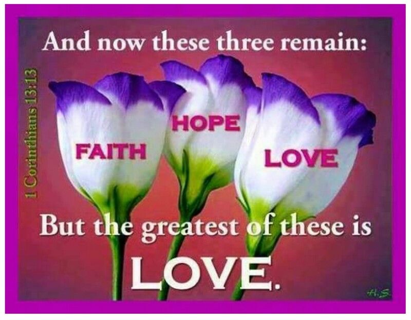 1 Corinthians 13 13 Love And Now These Three Remains Faith Hope Love But The Greatest Of These Is Love Steemit