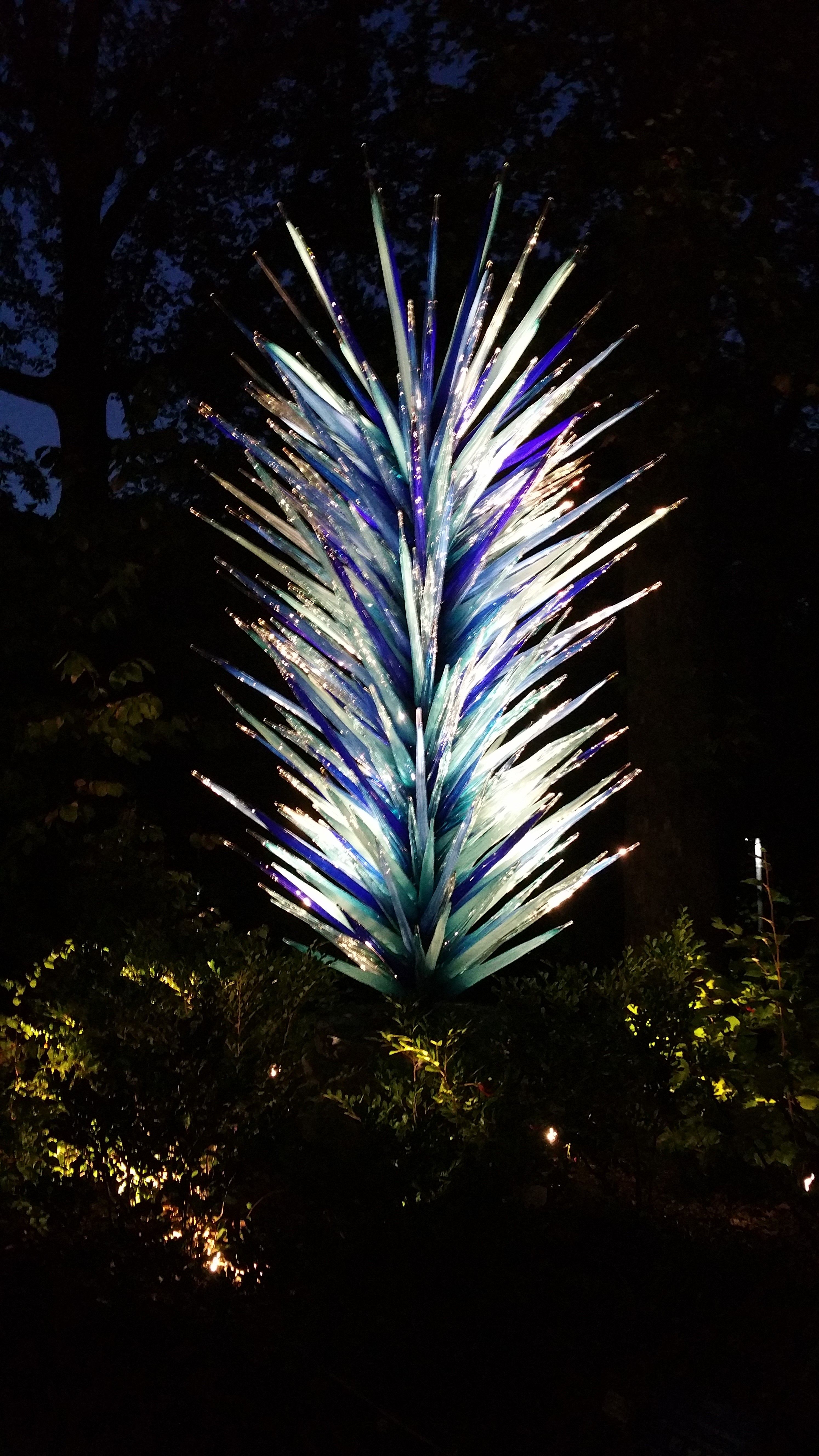 chihuly2.jpg